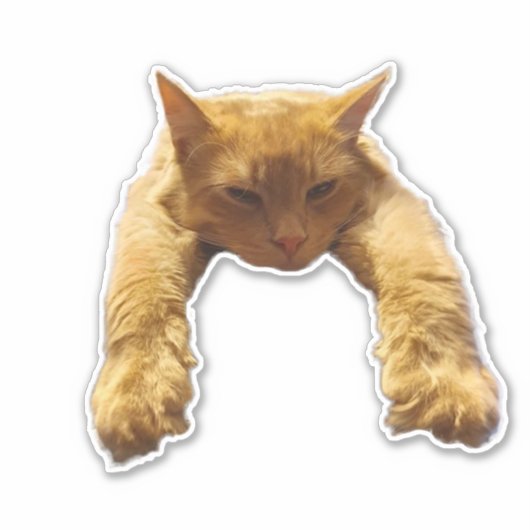 Sticker Ginger Lazy Cat, (Devant)