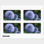 Sticker Globe Thistle Flowers (Feuille)