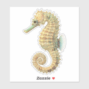 Sticker Gold Turquoise Seahorse