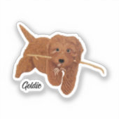Sticker Golden Doodle  (Recto)