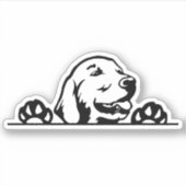 Sticker Golden retriever (Devant)