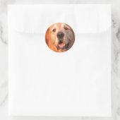 Sticker Golden Retriever (Sac)