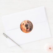 Sticker Golden Retriever (Enveloppe)