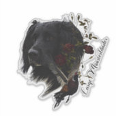 Sticker Grand Munsterlander avec faisan (Devant)