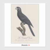 Sticker Grand Vasa, Coracopsis Vasa Illustration (Feuille)