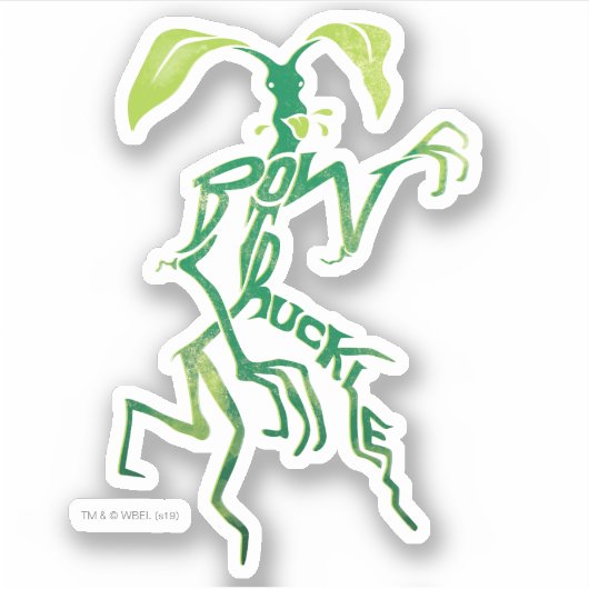 Sticker Graphique de typographie BOWTRUCKLE™ PICKETT™ (Devant)