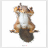 Sticker Graphisme de l'écureuil agrippé à la fenêtre (Feuille)