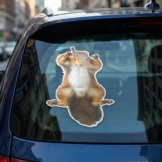 Sticker Graphisme de l'écureuil agrippé à la fenêtre