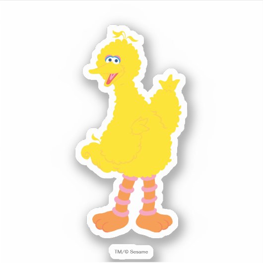 Sticker Graphisme des grands oiseaux (Devant)