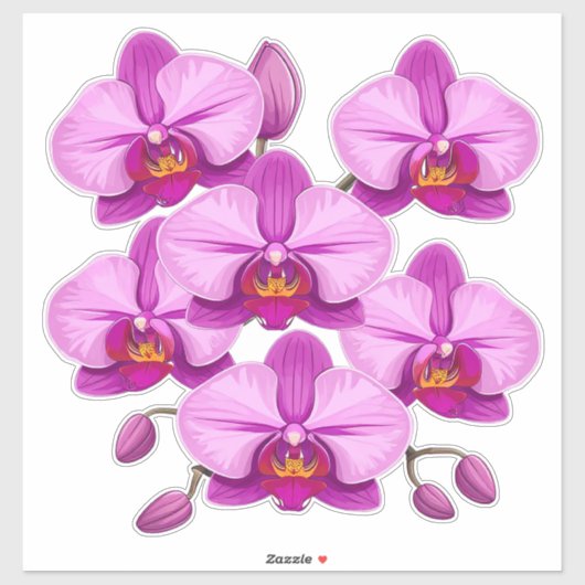Sticker Grappe de fleurs d'orchidée rose vibrant (Feuille)