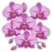 Sticker Grappe de fleurs d'orchidée rose vibrant (Devant)