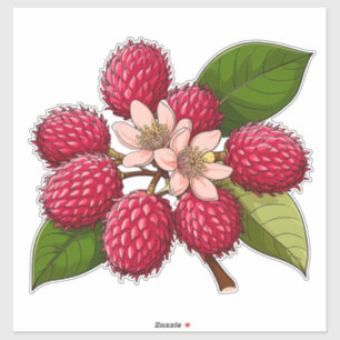 Sticker Grappe de Rambutan Éclairé avec des Fleurs Roses