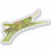 Sticker Grasshopper (Devant)