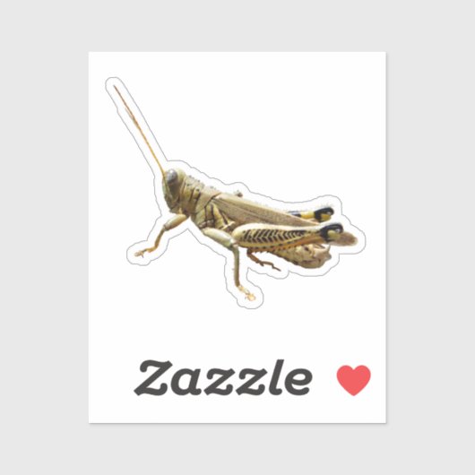 Sticker Grasshopper (Feuille)