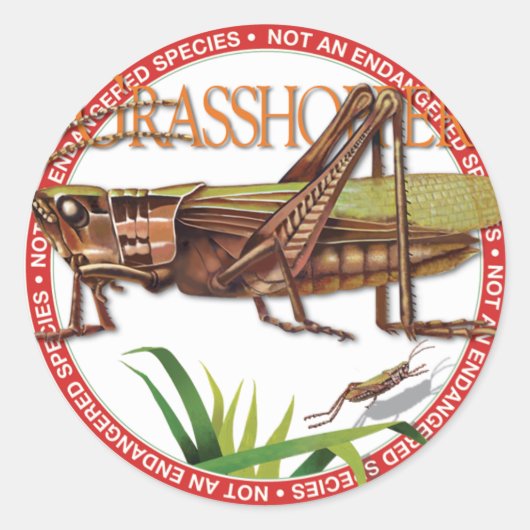 Sticker Grasshopper (Devant)