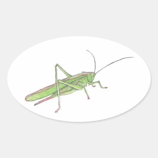 Sticker Grasshopper (Devant)