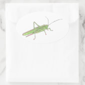 Sticker Grasshopper (Sac)