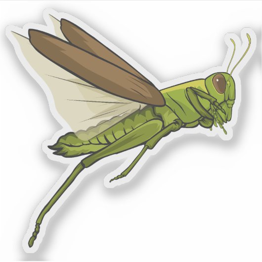 Sticker Grasshopper Vector Jumping Illustration (Devant)