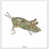 Sticker Grasshopper vert (Feuille)