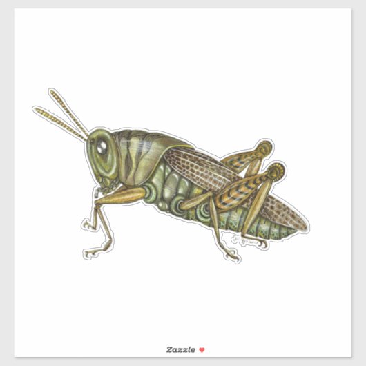 Sticker Grasshopper vert (Feuille)