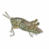 Sticker Grasshopper vert (Devant)