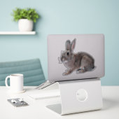 Sticker Gray Cottontail Rabbit Pet Bunny  (Ordinateur portable sur le bureau)