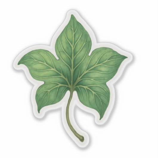 Sticker Green Ivy Leaf Botanical (Devant)