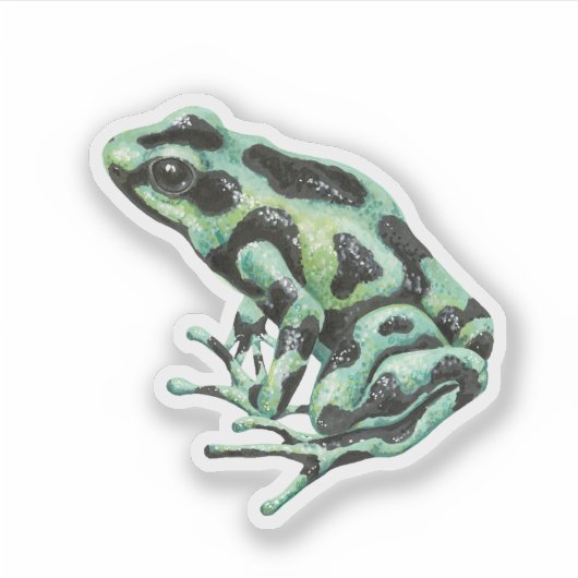 Sticker grenouille à fléchettes (Devant)