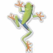 Sticker Grenouille-Arbre Amphibienne (Devant)