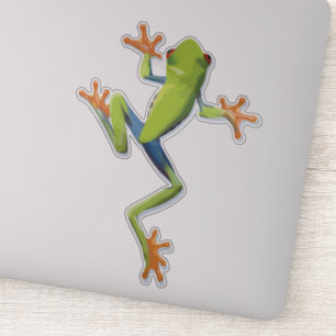 Sticker Grenouille-Arbre Amphibienne