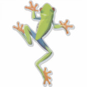 Sticker Grenouille-Arbre Amphibienne (Devant)
