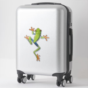 Sticker Grenouille-Arbre Amphibienne