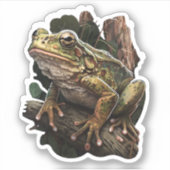 Sticker Grenouille forestière (Devant)