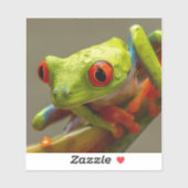 Sticker Grenouille tropicale cool prête à sauter photo (Feuille)