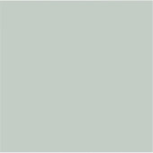 Sticker Gris cendré (couleur unie) (Devant)