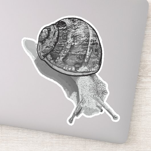 Sticker Gris de l'escargot peint (Détail)