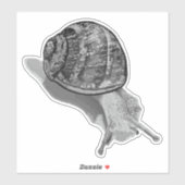 Sticker Gris de l'escargot peint (Feuille)