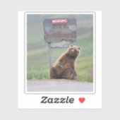 Sticker Grizzly Bear Plays With Sign (Feuille)