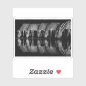 Sticker Group of Plains Zebra Drink Together at Night (Feuille)