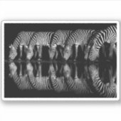 Sticker Group of Plains Zebra Drink Together at Night (Devant)