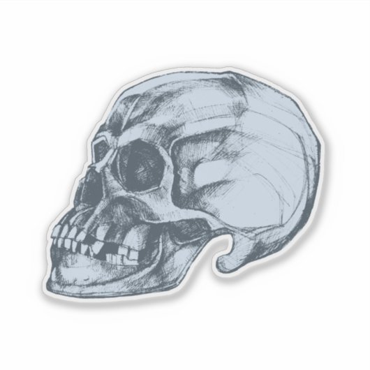 Sticker Halloween Skull Vinyl (Devant)