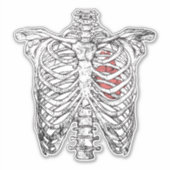 Sticker Halloween vintage et anatomie du coeur (Devant)