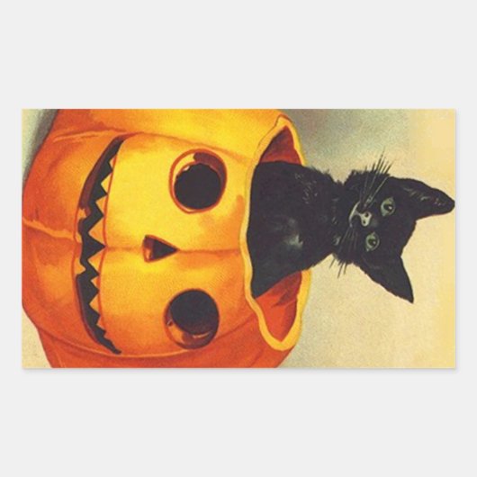 Sticker  Halloween Zwart Kitten in JOL Cat (Voorkant)