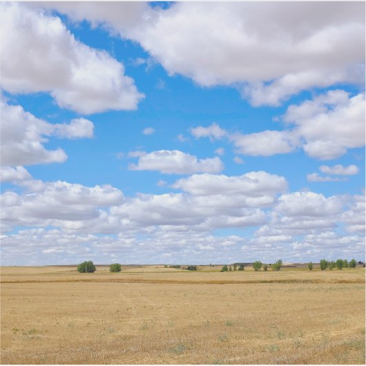 Sticker Harvested wheat fields  (Devant)