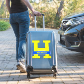 Sticker Hawaii (Valise Insitu)