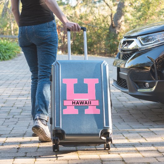 Sticker Hawaii (Valise Insitu)
