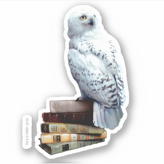 Sticker Hedwig dans les livres (Devant)