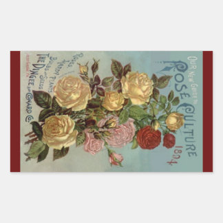 Sticker  Heirloom Rozen 1894 Roos Cultuur