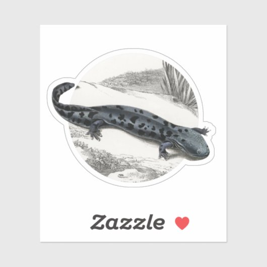 Sticker Hellbender Salamander (Feuille)