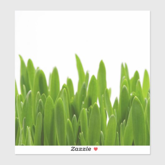 Sticker Herbe verte (Feuille)